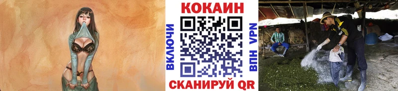 Кокаин 97% Купить Тутаев