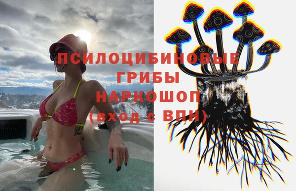 a pvp Кукмор