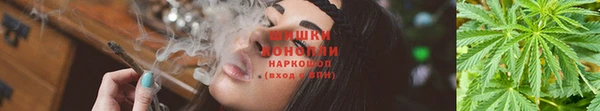 гашик Красноперекопск