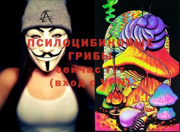 a pvp Кукмор